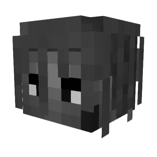 Ran98wqa2 Minecraft avatar head, 3D render
