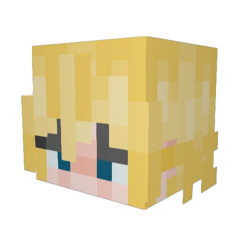 RanByRocky Minecraft avatar head, 3D render
