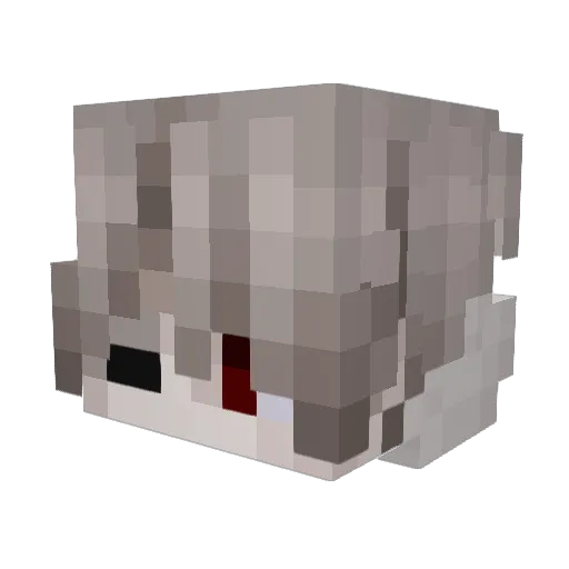 RanChua Minecraft avatar head, 3D render