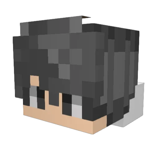 RanCy29 Minecraft avatar head, 3D render