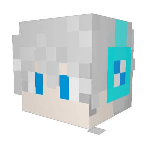 Ran_ci Minecraft avatar head, 3D render