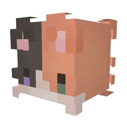 Ran_dm Minecraft avatar head, 3D render