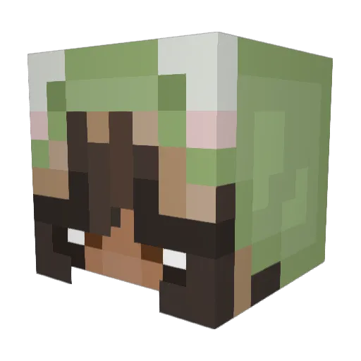 Ranables678 Minecraft avatar head, 3D render
