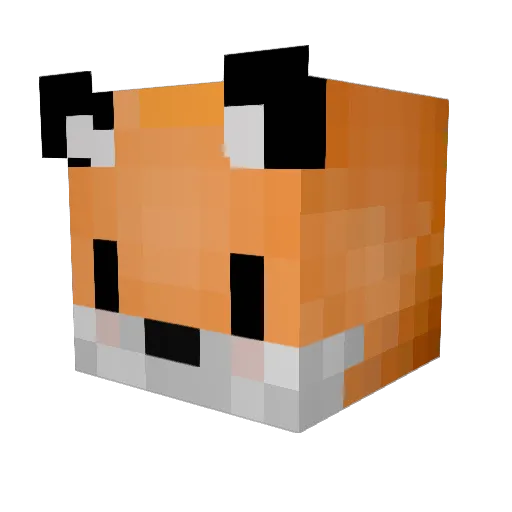Ranae11 Minecraft avatar head, 3D render