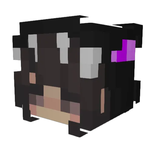 Ranafroggy1 Minecraft avatar head, 3D render