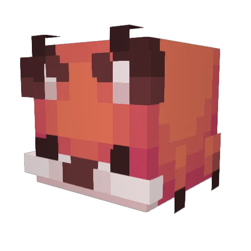 Ranaxe Minecraft avatar head, 3D render