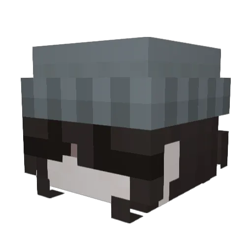 Ranboes Minecraft avatar head, 3D render