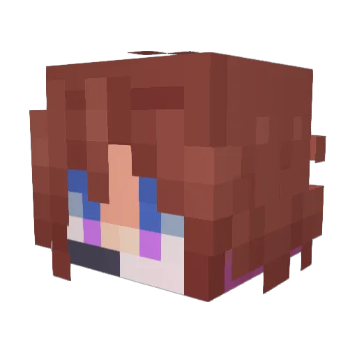 Ranboo Minecraft avatar head, 3D render
