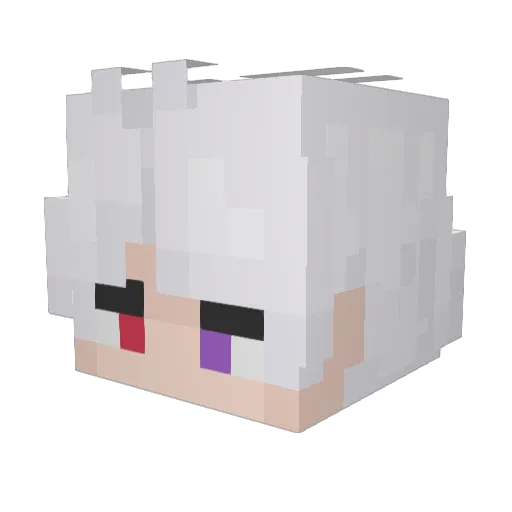 Ranc0r Minecraft avatar head, 3D render