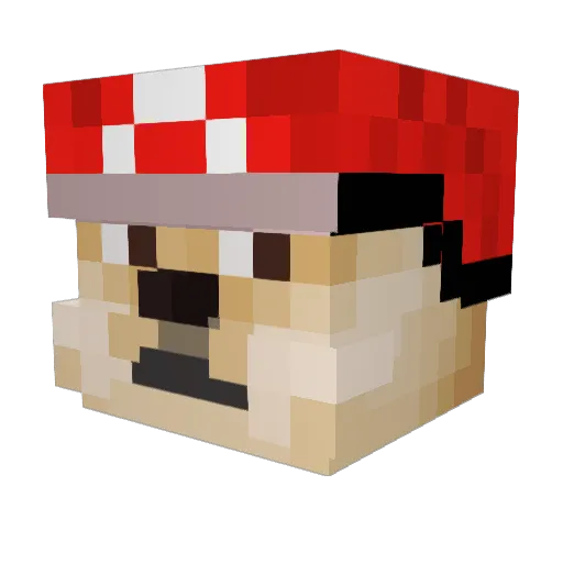 Rancheros Minecraft avatar head, 3D render