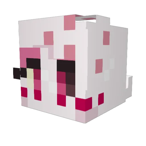 Ranchet Minecraft avatar head, 3D render