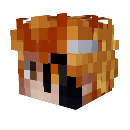Rand0mNCP Minecraft avatar head, 3D render