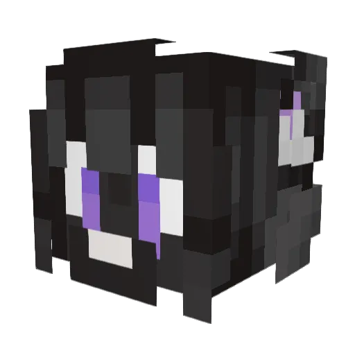 Rand0mNi Minecraft avatar head, 3D render