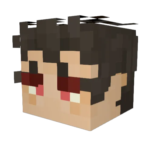 Rand0mPine Minecraft avatar head, 3D render