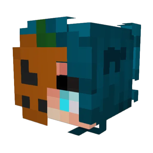 Rand0m_180 Minecraft avatar head, 3D render