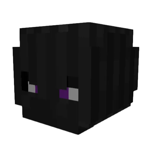 Rand0m_Face Minecraft avatar head, 3D render