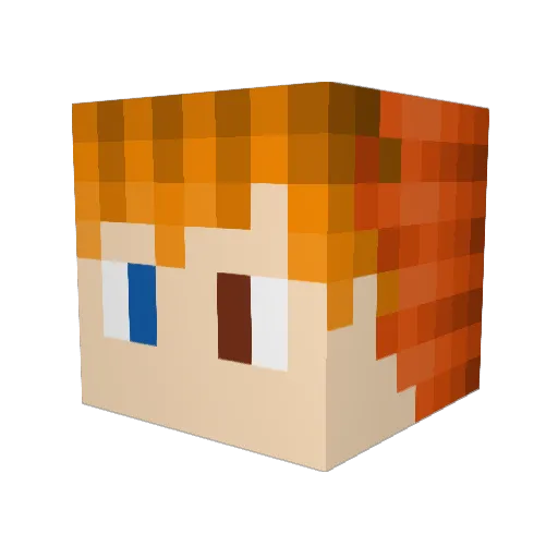 Rand0mletterz Minecraft avatar head, 3D render