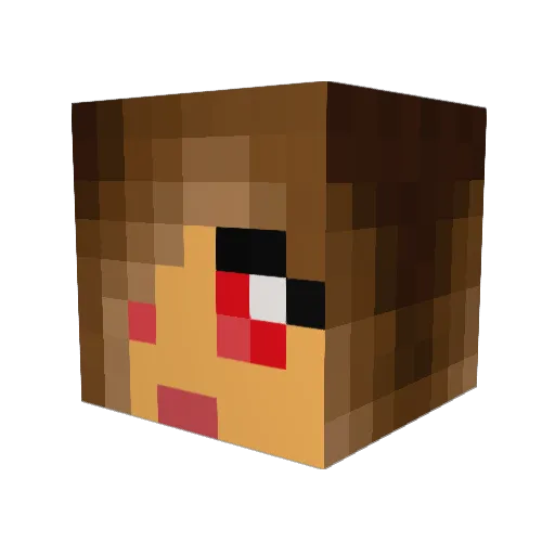 Rand0mllama Minecraft avatar head, 3D render