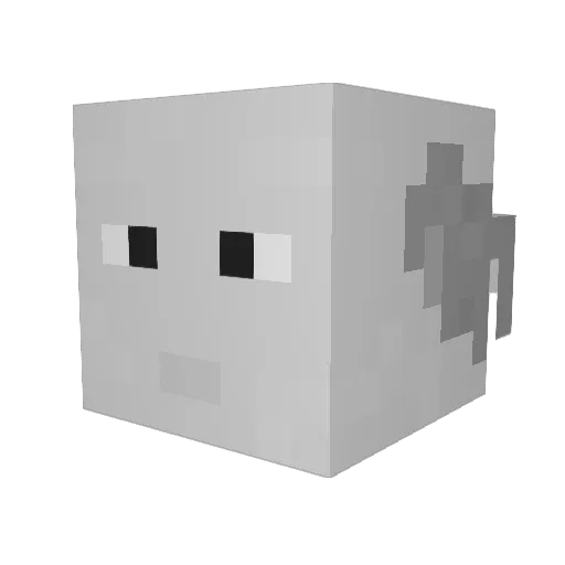 Rand0mmmm Minecraft avatar head, 3D render