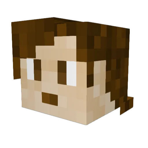 Randakk Minecraft avatar head, 3D render