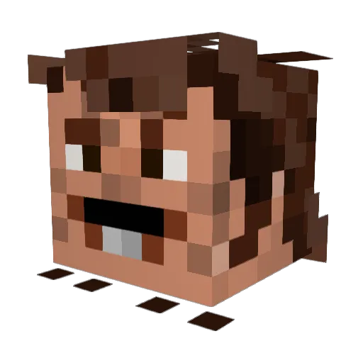 Randalf10 Minecraft avatar head, 3D render