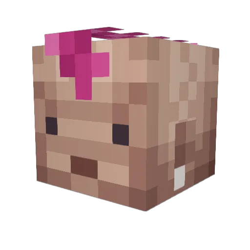 Randall_ Minecraft avatar head, 3D render