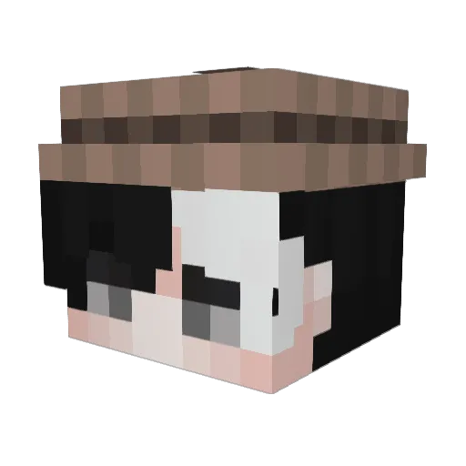 Randarn Minecraft avatar head, 3D render
