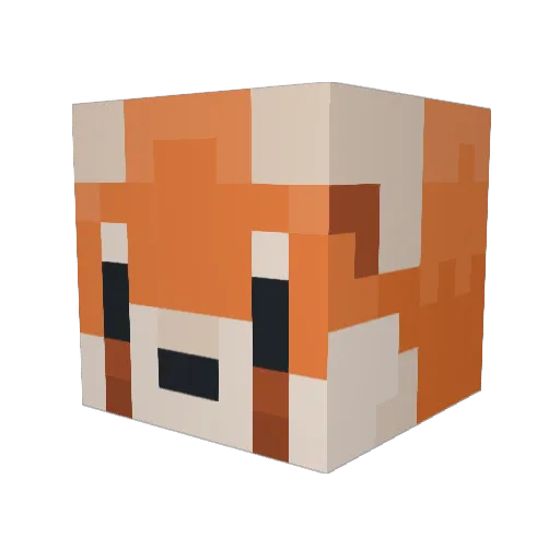 RandeeZee Minecraft avatar head, 3D render