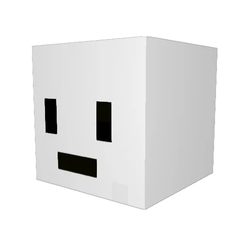 Randi0_0 Minecraft avatar head, 3D render