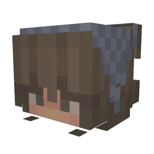 Randirup Minecraft avatar head, 3D render
