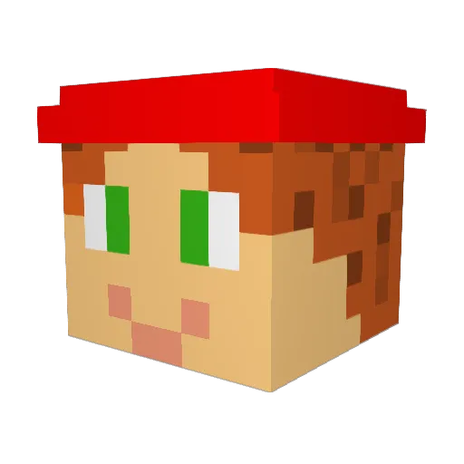 Randiry Minecraft avatar head, 3D render