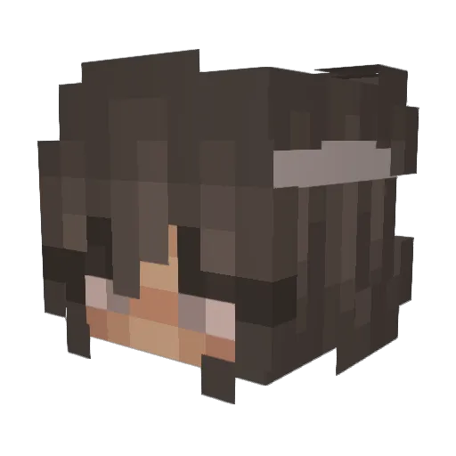 Randisexc Minecraft avatar head, 3D render