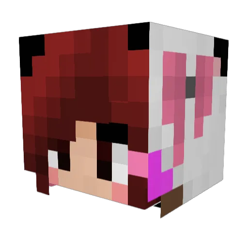Randlm Minecraft avatar head, 3D render