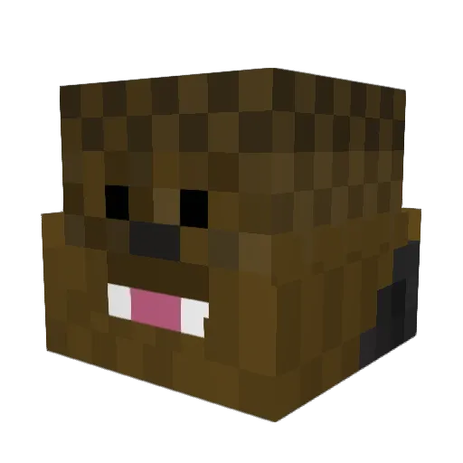 RandmDoesntCarry Minecraft avatar head, 3D render