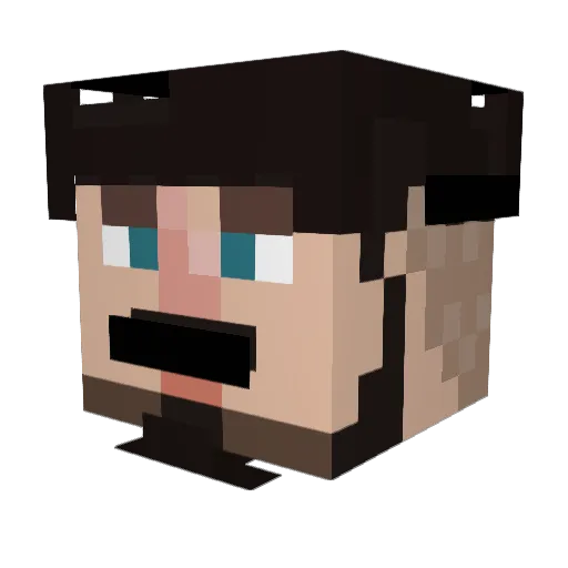 Rando1511 Minecraft avatar head, 3D render