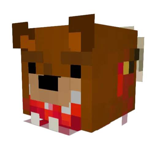 RandoInTheStars Minecraft avatar head, 3D render