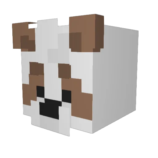 RandoMartian Minecraft avatar head, 3D render