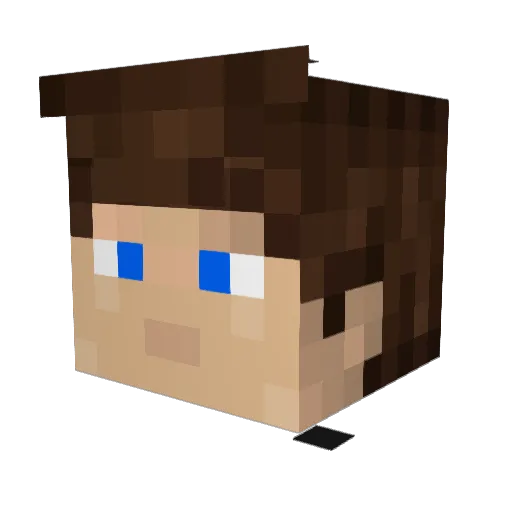 RandoMotioN Minecraft avatar head, 3D render