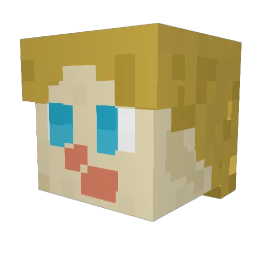 Rando_T123 Minecraft avatar head, 3D render