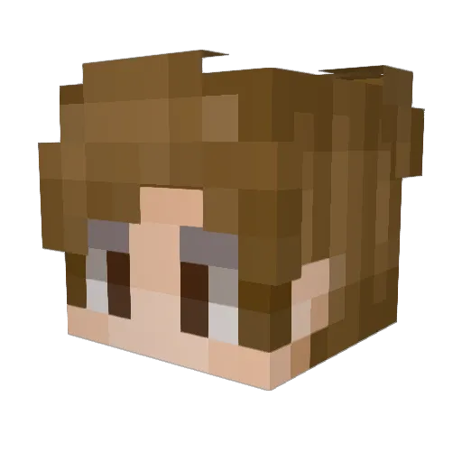 Random160 Minecraft avatar head, 3D render