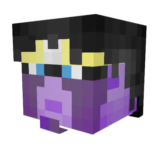Random2133 Minecraft avatar head, 3D render