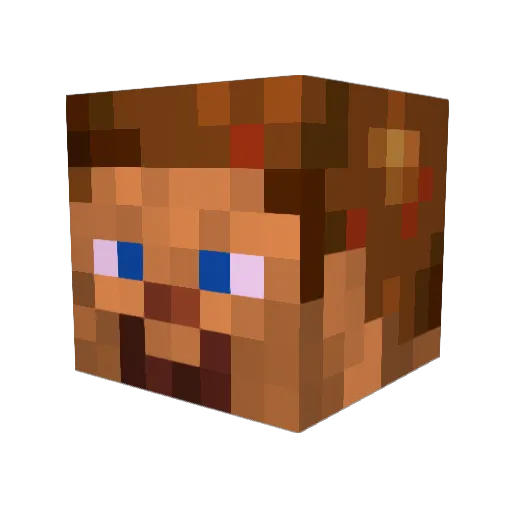 Random431 Minecraft avatar head, 3D render