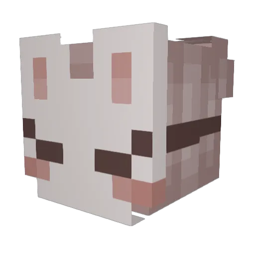 RandomAltOnMc_ Minecraft avatar head, 3D render