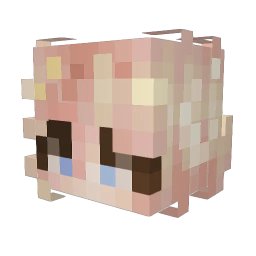 RandomAmy Minecraft avatar head, 3D render