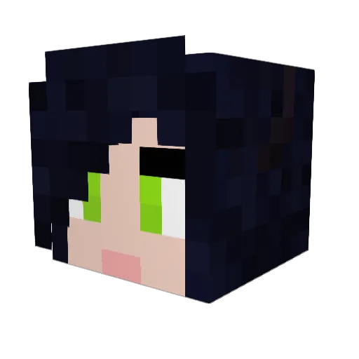 RandomBlackCat Minecraft avatar head, 3D render