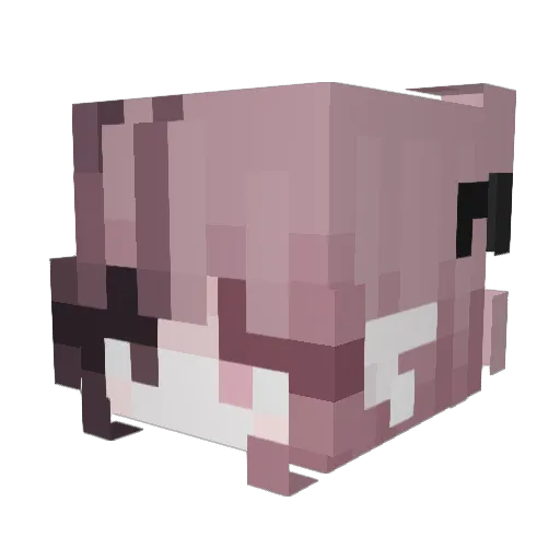 RandomCrazyladu Minecraft avatar head, 3D render