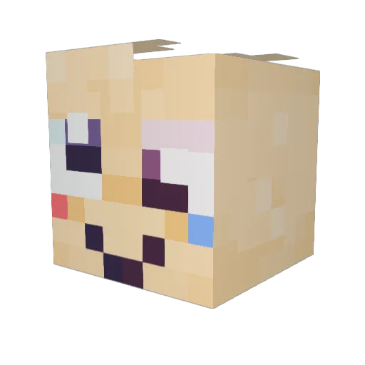 RandomDogeee Minecraft avatar head, 3D render