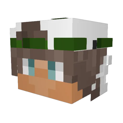 RandomGertjan Minecraft avatar head, 3D render