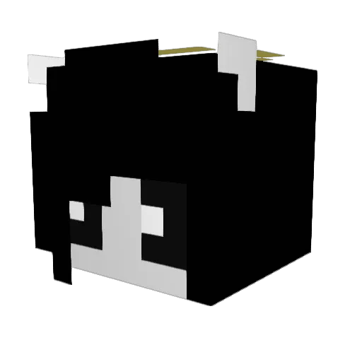 RandomHalo3Fan Minecraft avatar head, 3D render