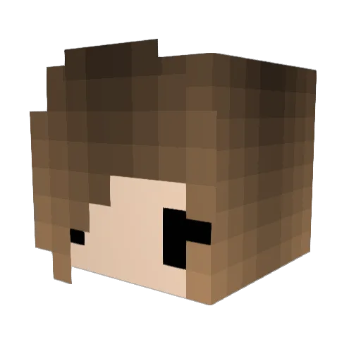 RandomHearts Minecraft avatar head, 3D render